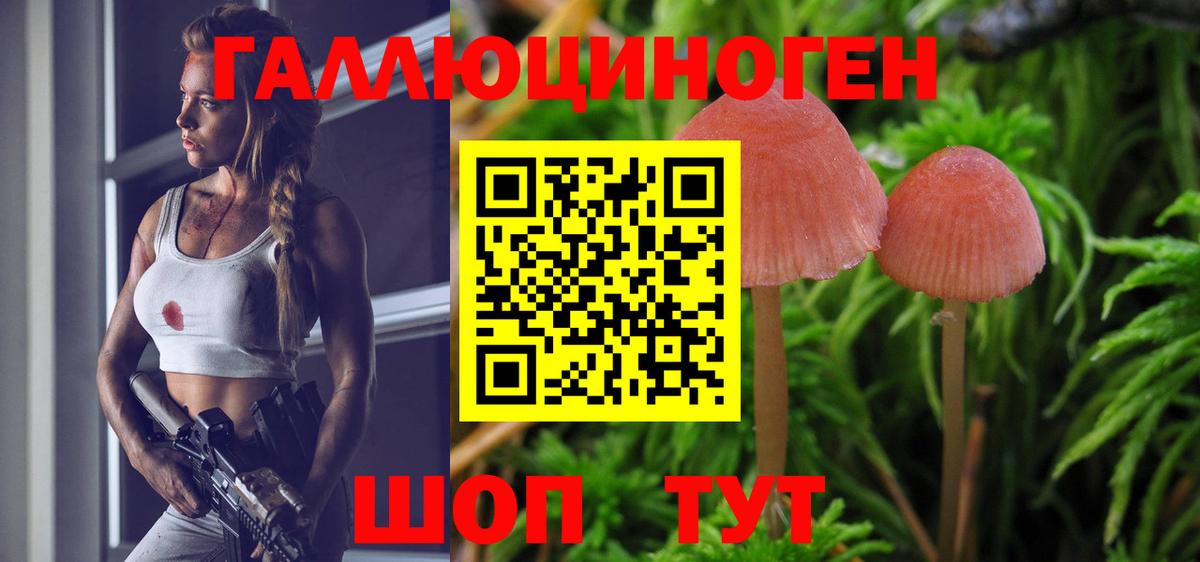 Галлюциногенные грибы GOLDEN TEACHER Кимовск