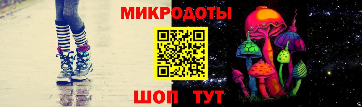 Псилоцибиновые грибы Cubensis  Вход с VPN  Кимовск 